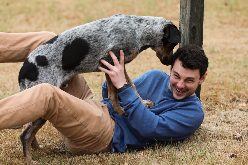 dog playing with person