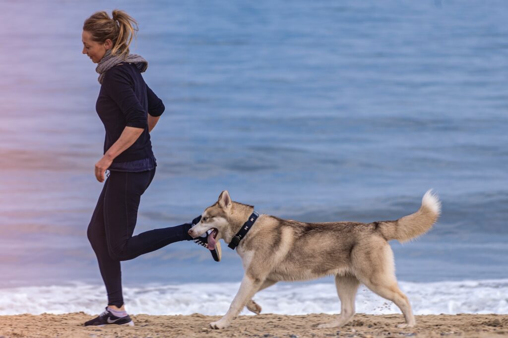 running on beach with dog