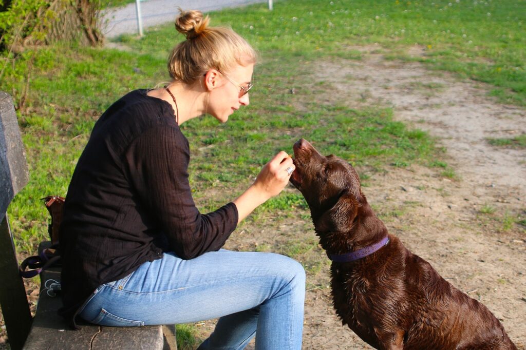 person giving dog a treat