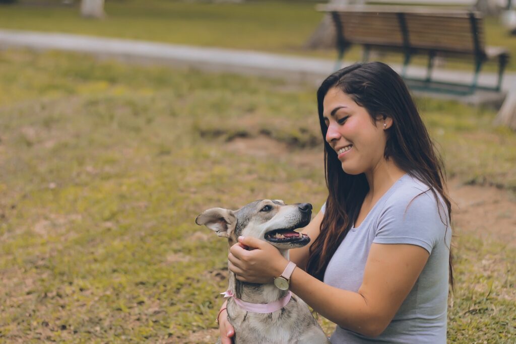 person caring for dog